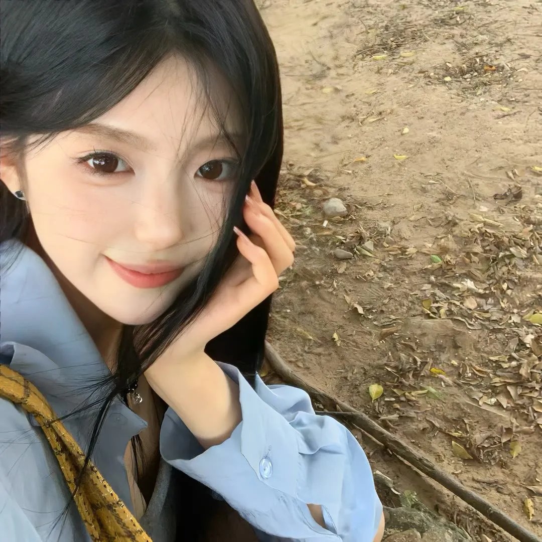 樱花队离散